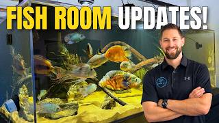 Big Fish Room Improvements! New Tanks, Live Plants & Breeding Cichlids