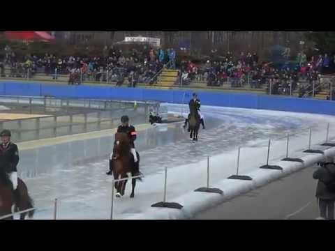 Gletting vom Kronshof IceHorse 2015