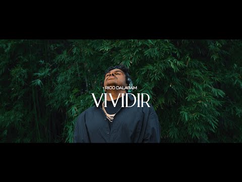 Video thumbnail for Vividir