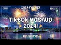 Tiktok Mashup 2024 Recap