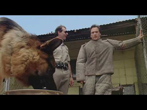 Erste Begegnung | Mein Partner mit der kalten Schnauze (1989) (Clip) (German)