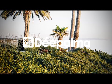 Nebu Mitte - Landwehrkanal (Extended Mix) [Déepalma Records]