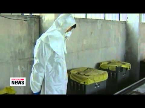 N. Korea could have 100 nuclear weapons by 2020: U.S. expert   "북한, 2020년까지