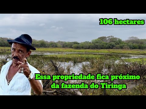 Fazenda mais barata da região, 106 hectares à venda em Riacho Frio Piauí