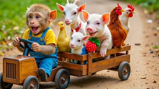 Download lagu دعاء خاشع في اليوم التاسع من شهر رمضان المبارك دعاء خاشغ تهتز له القلوب - Doa Ramadan - علاء عقل mp3