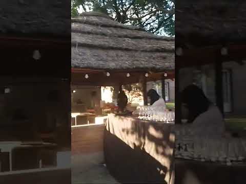 Calidad de Vida! En Sauce viejo.