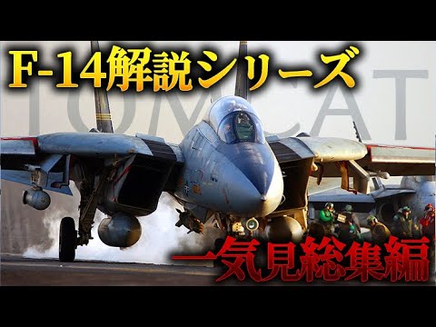 グラマン F-14 トムキャットについて詳しく解説