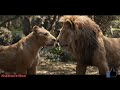 The Lion King 2 2019 Simba Meets Nala HD