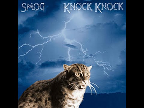 3000 Best Albums [2699] Smog - Knock Knock (1999) Dan's Mini Album Review