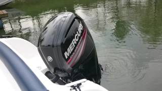 Mercury me f 80 elpt efi