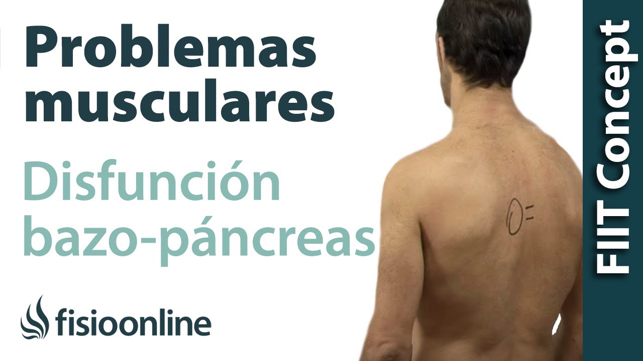 Bazo-Páncreas - Problemas articulares y musculares que pueden provocar