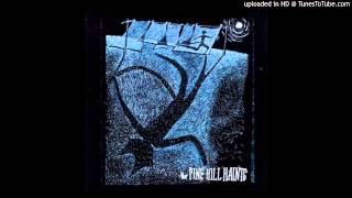 The Pine Hill Haints - Desperation Blues