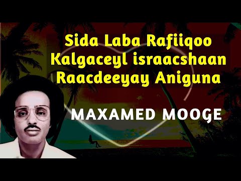 sida laba rafiiqoo maxamed mooge | heestii rako | rako maxamed mooge | maxamed mooge rafaad noqotay