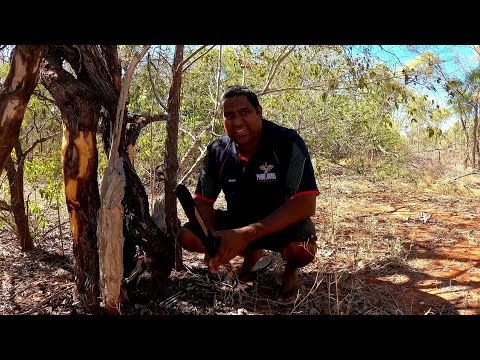 BUSH MEDICINE (Banrrarragu) - A shortened video with footage taken from the MBL Episode 19.