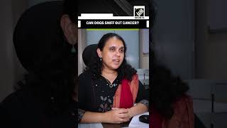 Bengaluru Startup's Breakthrough: Dogs and AI to Enable Early Cancer Detection