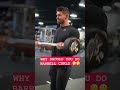WHY YOU SHOULD DO BARBELL CURLS!