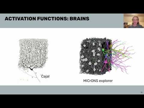 W1D5 - Microcircuits - Intro