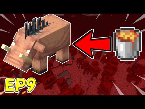 Minecraft: NETHER SURVIVAL LETS PLAY EP. 9 - BEST WAY TO HARVEST AND KILL HOGLINS (HOGLINS FARM)