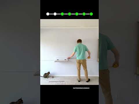 Raja and the Moving Shelf 🐾 How far can she go? It was a huge jump 🙀 #cat