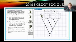 ESL-Cladogram Practice
