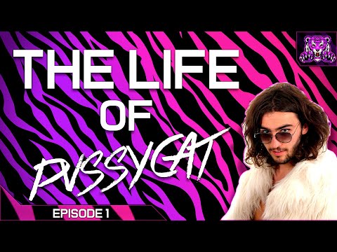 WHO IS PVSSYCAT!?