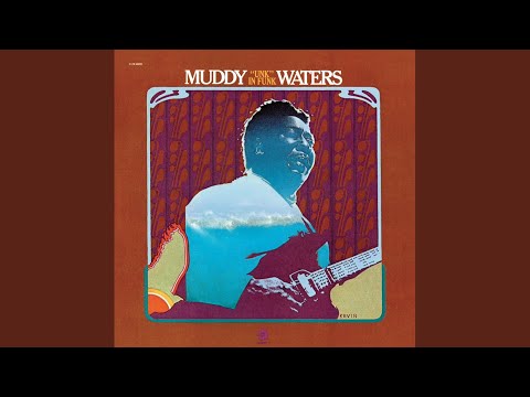 Just To Be With You - Muddy Waters