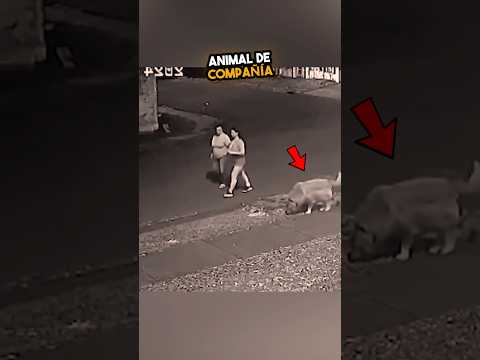 He fought like never before for his pet! 💪🐶