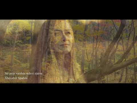 Ne pyje vjeshta ndezi zjarre (poezi)- Xhevahir Spahiu