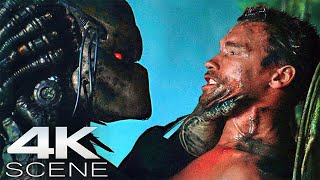 Download lagu Predator Vs. Arnold Schwarzenegger (4K Blu-ray) Fight Scene | Predator [1987] Action Movie Clips mp3