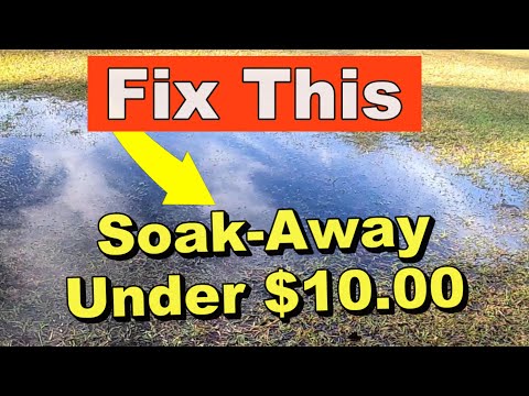 Vertical Drainage - SOAK-AWAY.  NEW Way to Remove Water - DIY under $10