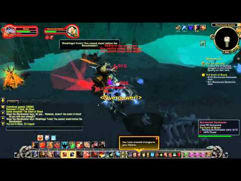 testing fighting Wow Pandaren Warrior