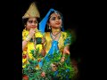 Ambalapuzhe Unnikannanodu Sreehari Malavika Cherpulassery Karumanamkurussi Janmashtami 2020