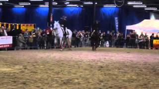 preview picture of video 'Salon du cheval à Tournai'