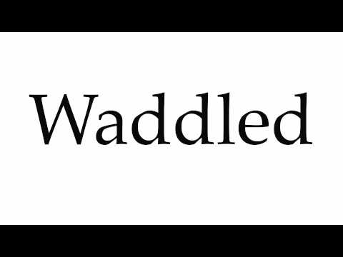 How to Pronounce Waddled