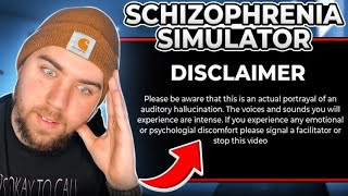 Reacting to a Schizophrenia Simulation!!