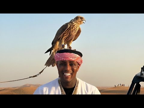 MC IG, TRAPLAUDO e MC GP - TIPO ALADDIN