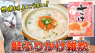 あっさり絶品 鮭ふりかけ雑炊を作る【猫ミーム】