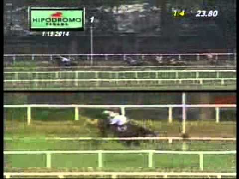 1RA CARRERA DOMINGO 19 DE ENERO DE 2014