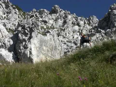 Sulle creste del monte Zermula  - SentieriNatura - Documentari estivi 2008 - 07
