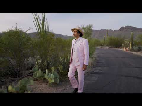 He Walked In - Kid Congo & The Pink Monkey Birds (Official Video)