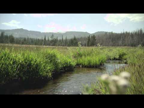 Garmin Forerunner 220 W 