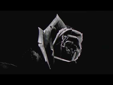 Play Video Youtube Video