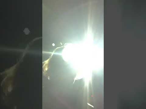 Willy G ft youngmain