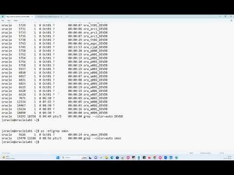 Day 1 Demo Session || DBA Course Curriculam || Database Connectivity