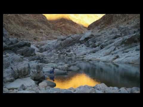 March With Me - Danie Niehaus