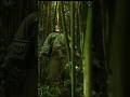 Top Movie Scene Giant Spider Attack Kong Skull Island