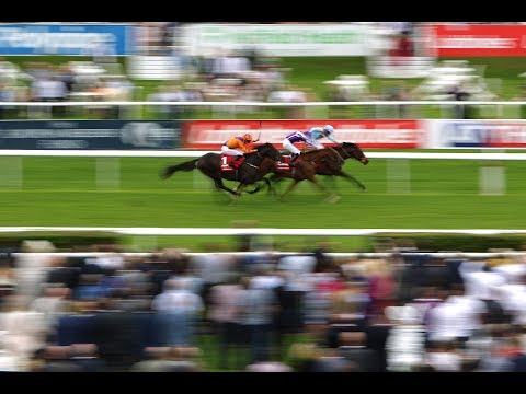 Harbour Law - Ladbrokes St Leger (2016)