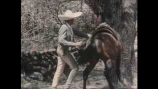 la guera chabela/jesus cadenas pelicula