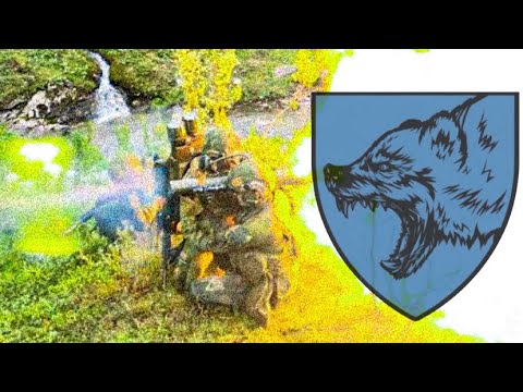 KOMPANI BRAVO - 2. BATALJON - DIMMEFILM - 2201