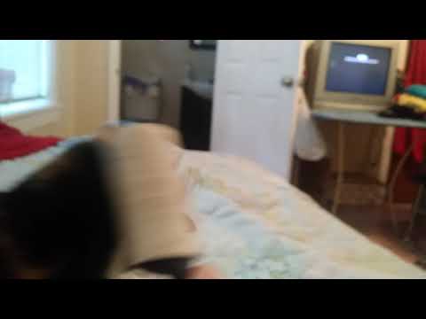 Kitty love being lint rolled